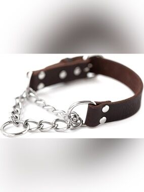 NWOT Mighty Paw Leather Martingale Dog Collar, Medium